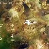 Флора и фауна Белого моря глазами подводного робота ГНОМ