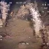 Флора и фауна Белого моря глазами подводного робота ГНОМ