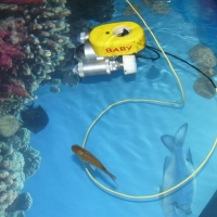 Подводный робот ГНОМ в бассейне