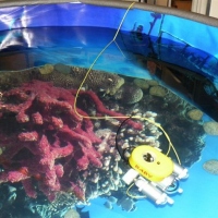 Подводный робот ГНОМ-бэби бороздит просторы надувного аквариума