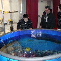 Детям нравятся подводные роботы ГНОМ