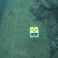 Супер ГНОМ за работой (1)