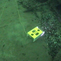 Супер ГНОМ за работой (3)