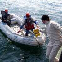 Начало работ