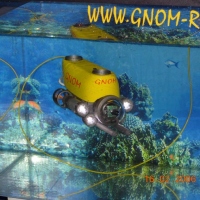 ГНОМ-стандарт в аквариуме