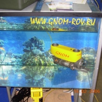 ГНОМ-стандарт (3)