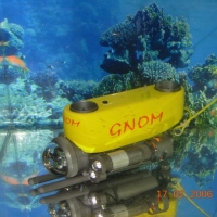 ГНОМ-стандарт (5)