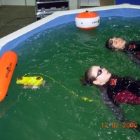 ГНОМ-стандарт в бассейне (1)