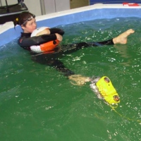 ГНОМ-стандарт в бассейне (2)