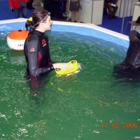 ГНОМ-стандарт и девушки