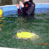 ГНОМ-стандарт в бассейне (3)