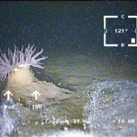 Белое море 3