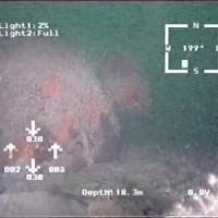 Древнеримская амфора на дне Адриатики (Черногория, 2004г.)