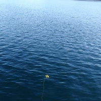 Акватория работ