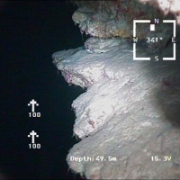 Мальдивы, глубина 50 м