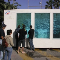 Выставка в Антибах(7)