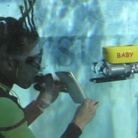 Выставка в Антибах(11)