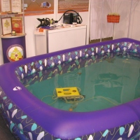 ГНОМ в бассейне