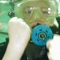 ГНОМ наблюдает за пробными погружениями в бассейне