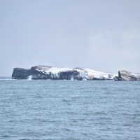 Карское море