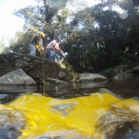 ТНПА ГНОМ Стандарт