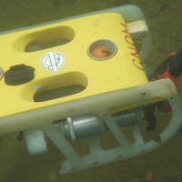 ТНПА ГНОМ Стандарт