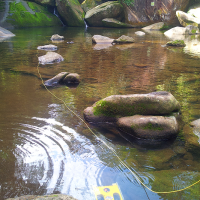 ТНПА ГНОМ Стандарт