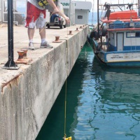 ТНПА ГНОМ Стандарт