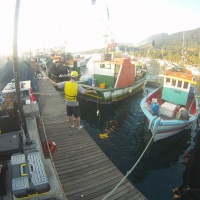 ТНПА ГНОМ Стандарт