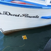 ТНПА ГНОМ Стандарт