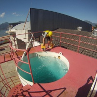 ТНПА ГНОМ Стандарт