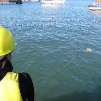 ТНПА ГНОМ Стандарт