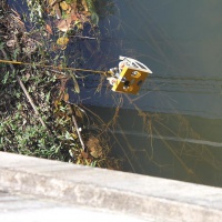 ТНПА ГНОМ Стандарт