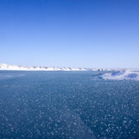 ТНПА ГНОМ Стандарт на Севере