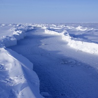 ТНПА ГНОМ Стандарт на Севере