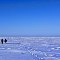 ТНПА ГНОМ Стандарт на Севере