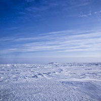 ТНПА ГНОМ Стандарт на Севере