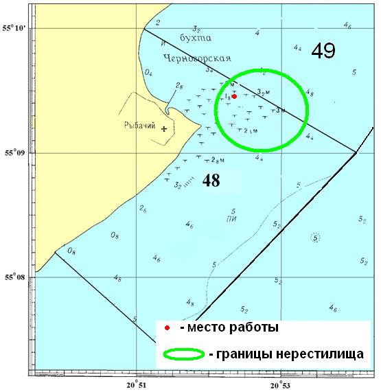 Рис. 4. Схема положения нерестилища сига, расположенного на 48 и 49 рыбопромысловых участках у п. Рыбачий на Куршской косе.