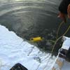 Осмотр рыбы под льдом