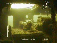 Архив подводных съемок